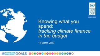 Knowing what you
spend:
tracking climate finance
in the budget
16 March 2019
 