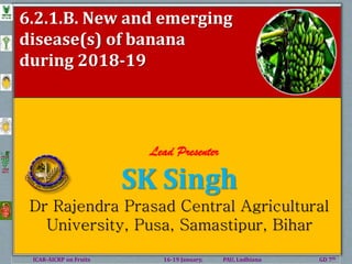 ICAR-AICRP on Fruits 16-19 January, PAU, Ludhiana GD 7th
6.2.1.B. New and emerging
disease(s) of banana
during 2018-19
Lead Presenter
SK Singh
Dr Rajendra Prasad Central Agricultural
University, Pusa, Samastipur, Bihar
 