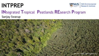 INTPREP
INtegrated Tropical Peatlands REsearch Program
NUS Environmental
Research Institute
Sanjay Swarup
Source : http://aseanpeat.net/
 