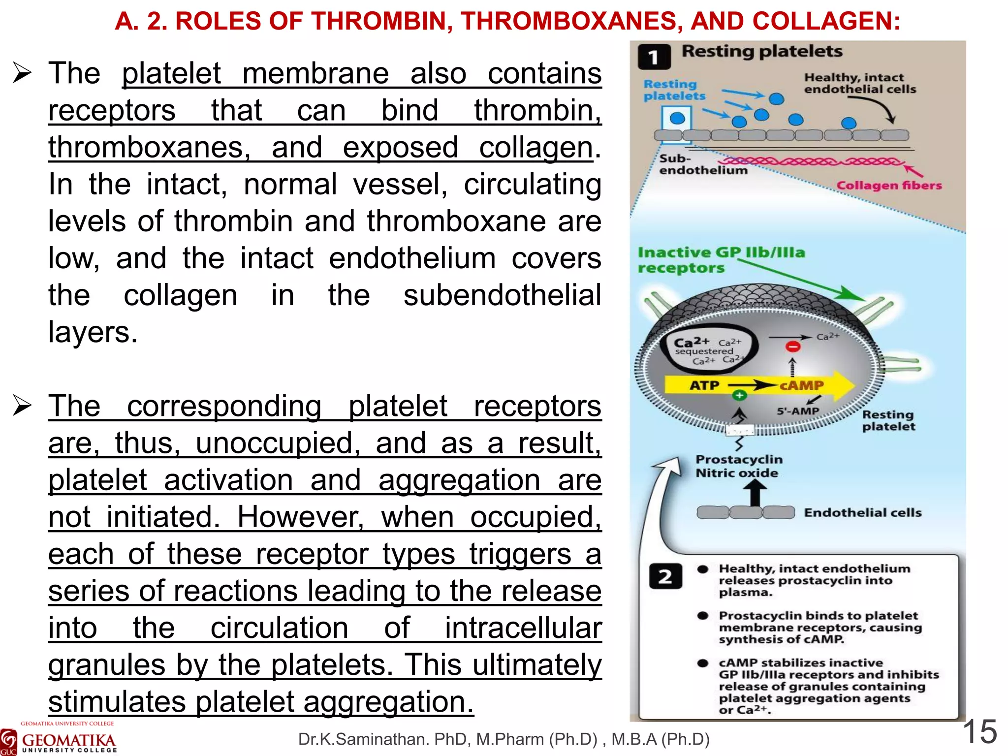 6. anticoagulants and antiplatelet agents | PDF