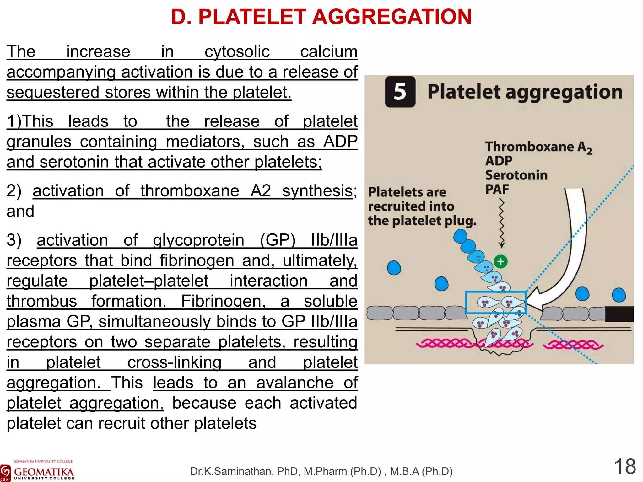 6. anticoagulants and antiplatelet agents | PDF
