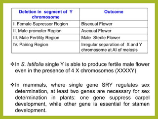 Deletion in segment of Y
chromosome
Outcome
I. Female Supressor Region Bisexual Flower
II. Male promoter Region Asexual Flower
III. Male Fertility Region Male Sterile Flower
IV. Pairing Region Irregular separation of X and Y
chromosome at AI of meiosis
In S. latifolia single Y is able to produce fertile male flower
even in the presence of 4 X chromosomes (XXXXY)
In mammals, where single gene SRY regulates sex
determination, at least two genes are necessary for sex
determination in plants: one gene suppress carpel
development, while other gene is essential for stamen
development.
 