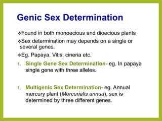 Genic Sex Determination
Found in both monoecious and dioecious plants
Sex determination may depends on a single or
several genes.
Eg. Papaya, Vitis, cineria etc.
1. Single Gene Sex Determination- eg. In papaya
single gene with three alleles.
1. Multigenic Sex Determination- eg. Annual
mercury plant (Mercurialis annua), sex is
determined by three different genes.
 