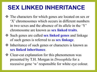 SEX LINKED INHERITANCE
 The characters for which genes are located on sex or
‘X’ chromosomes which occurs in different numbers
in two sexes and the absence of its allele in the ‘Y’
chromosome are known as sex linked traits.
 Such genes are called sex linked genes and linkage
of such genes is referred to as sex linkage.
 Inheritance of such genes or characters is known as
sex linked inheritance.
 Clear-cut explanation for this phenomenon was
presented by T.H. Morgan in Drosophila for a
recessive gene ‘w’ responsible for white eye colour.
 