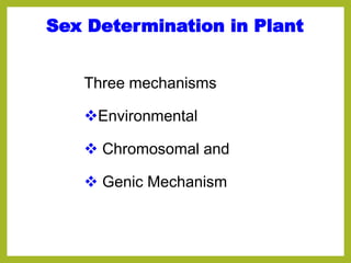 Sex Determination in Plant
Three mechanisms
Environmental
 Chromosomal and
 Genic Mechanism
 