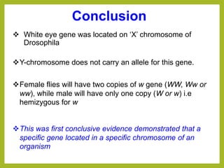  White eye gene was located on ‘X’ chromosome of
Drosophila
Y-chromosome does not carry an allele for this gene.
Female flies will have two copies of w gene (WW, Ww or
ww), while male will have only one copy (W or w) i.e
hemizygous for w
This was first conclusive evidence demonstrated that a
specific gene located in a specific chromosome of an
organism
Conclusion
 