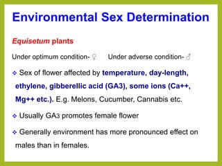 Environmental Sex Determination
Equisetum plants
Under optimum condition- ♀ Under adverse condition- ♂
 Sex of flower affected by temperature, day-length,
ethylene, gibberellic acid (GA3), some ions (Ca++,
Mg++ etc.). E.g. Melons, Cucumber, Cannabis etc.
 Usually GA3 promotes female flower
 Generally environment has more pronounced effect on
males than in females.
 