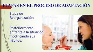 ETAPAS EN EL PROCESO DE ADAPTACIÓN
Etapa de
Reorganización:
Posteriormente
enfrenta a la situación
modificando sus
hábitos.
 