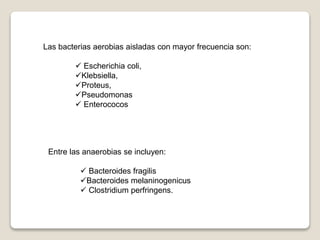 Las bacterias aerobias aisladas con mayor frecuencia son:
 Escherichia coli,
Klebsiella,
Proteus,
Pseudomonas
 Enterococos
Entre las anaerobias se incluyen:
 Bacteroides fragilis
Bacteroides melaninogenicus
 Clostridium perfringens.
 