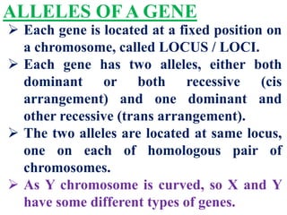 ALLELES OF A GENE
 Each gene is located at a fixed position on
a chromosome, called LOCUS / LOCI.
 Each gene has two alleles, either both
dominant or both recessive (cis
arrangement) and one dominant and
other recessive (trans arrangement).
 The two alleles are located at same locus,
one on each of homologous pair of
chromosomes.
 As Y chromosome is curved, so X and Y
have some different types of genes.
 