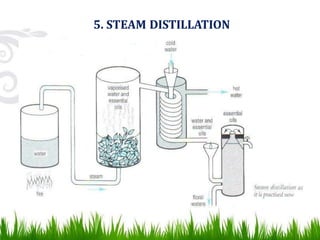 5. STEAM DISTILLATION
 