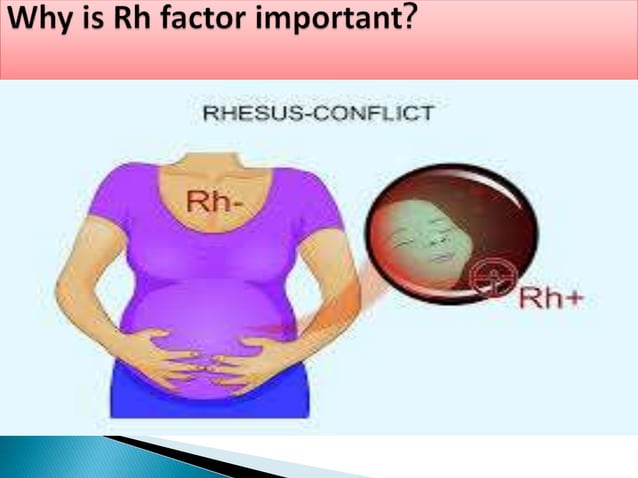 6. rh & abo incompatibility | PPTX | Pregnancy | Reproductive Health