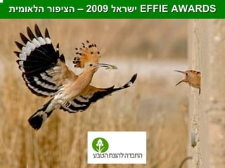 EFFIE AWARDS   ישראל  2009 –  הציפור הלאומית 