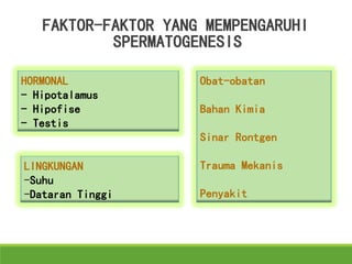 FAKTOR-FAKTOR YANG MEMPENGARUHI
SPERMATOGENESIS
HORMONAL
- Hipotalamus
- Hipofise
- Testis
LINGKUNGAN
-Suhu
-Dataran Tinggi
Obat-obatan
Bahan Kimia
Sinar Rontgen
Trauma Mekanis
Penyakit
 