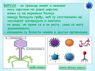 ВИРУСИ – на граници живог и неживог
- нису сврстани ни једно царство
- мањи су од најмањих ћелија
- немају ћелијску грађу, већ су сатстављени од
наследног материјала и омотача
- не дишу, не хране се и не расту, само се могу
размножавати
- изазивачи су болести човека и других организама
грађа вируса разни облици вируса
 