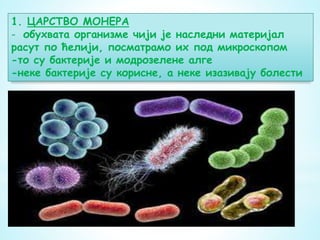 1. ЦАРСТВО МОНЕРА
- обухвата организме чији је наследни материјал
расут по ћелији, посматрамо их под микроскопом
-то су бактерије и модрозелене алге
-неке бактерије су корисне, а неке изазивају болести
 