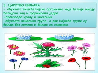 3. ЦАРСТВО БИЉАКА
- обухвата вишећелијске организме чије ћелије имају
ћелијски зид и формирано једро
-производе храну и кисеоник
-обухвата неколико група, а две највеће групе су
биљке без семена и биљке са семеном
 