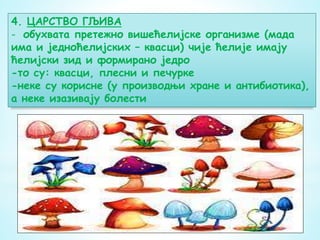 4. ЦАРСТВО ГЉИВА
- обухвата претежно вишећелијске организме (мада
има и једноћелијских – квасци) чије ћелије имају
ћелијски зид и формирано једро
-то су: квасци, плесни и печурке
-неке су корисне (у производњи хране и антибиотика),
а неке изазивају болести
 