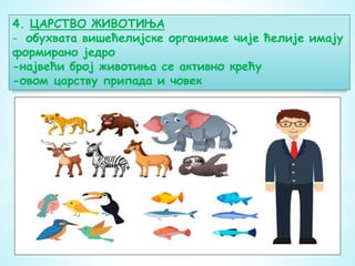 4. ЦАРСТВО ЖИВОТИЊА
- обухвата вишећелијске организме чије ћелије имају
формирано једро
-највећи број животиња се активно крећу
-овом царству припада и човек
 
