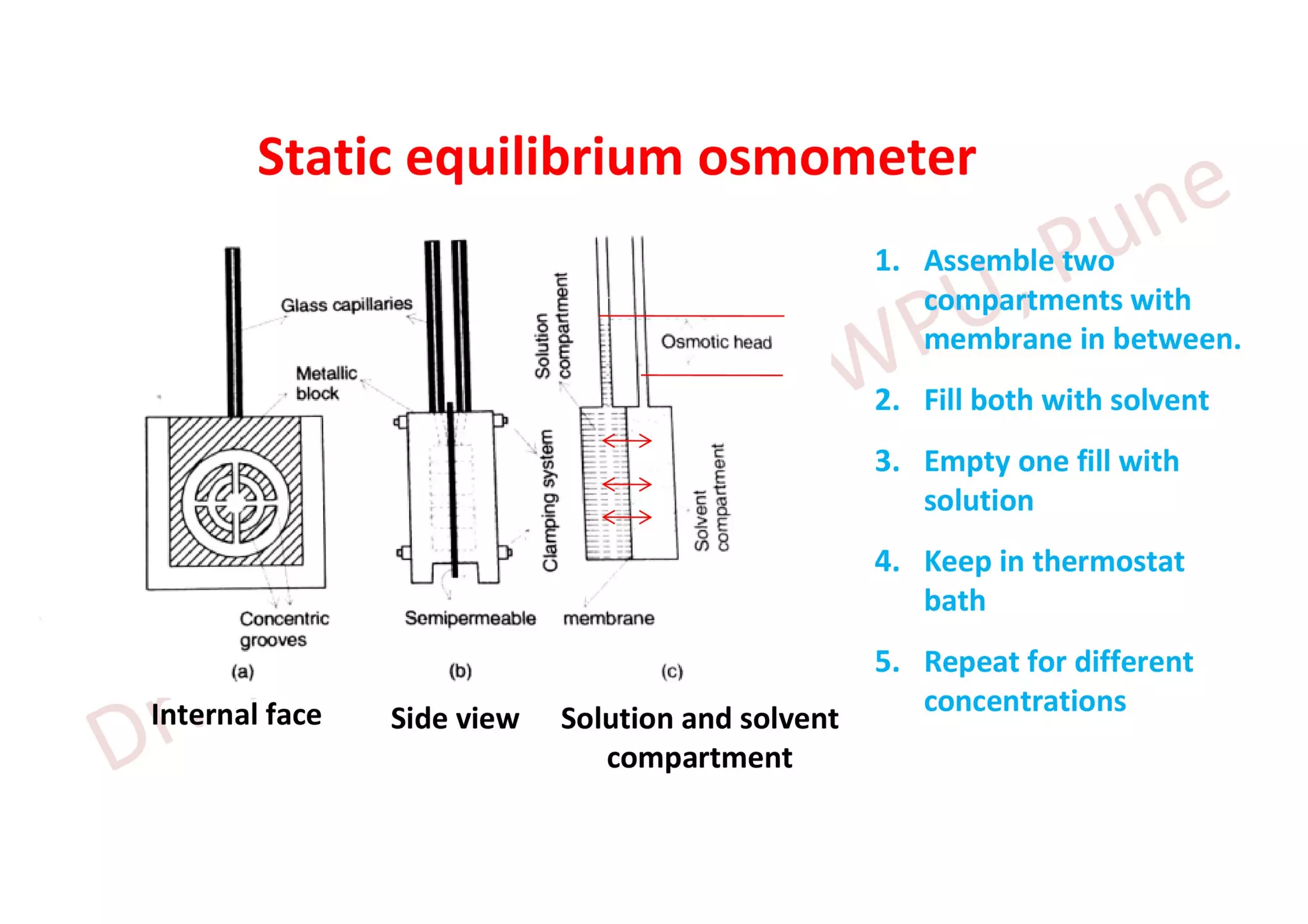 Molecular Weight Determination Techniques PPT
