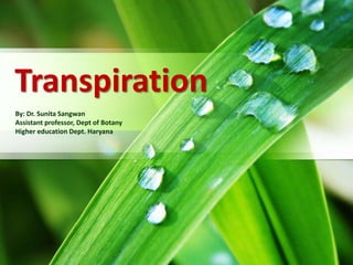 Transpiration
By: Dr. Sunita Sangwan
Assistant professor, Dept of Botany
Higher education Dept. Haryana
 