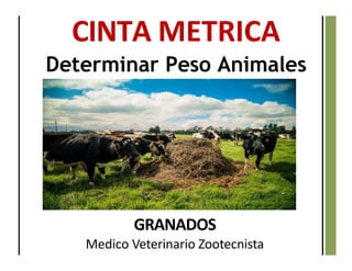 CINTA METRICA
Determinar Peso Animales
GRANADOS
Medico Veterinario Zootecnista
 