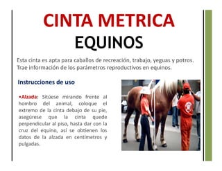 Esta cinta es apta para caballos de recreación, trabajo, yeguas y potros.
Trae información de los parámetros reproductivos en equinos.
CINTA METRICA
EQUINOS
•Alzada: Sitúese mirando frente al
hombro del animal, coloque el
extremo de la cinta debajo de su pie,
asegúrese que la cinta quede
perpendicular al piso, hasta dar con la
cruz del equino, así se obtienen los
datos de la alzada en centímetros y
pulgadas.
Instrucciones de uso
 