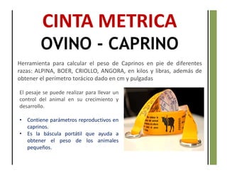 CINTA METRICA
OVINO - CAPRINO
Herramienta para calcular el peso de Caprinos en pie de diferentes
razas: ALPINA, BOER, CRIOLLO, ANGORA, en kilos y libras, además de
obtener el perímetro torácico dado en cm y pulgadas
El pesaje se puede realizar para llevar un
control del animal en su crecimiento y
desarrollo.
• Contiene parámetros reproductivos en
caprinos.
• Es la báscula portátil que ayuda a
obtener el peso de los animales
pequeños.
 