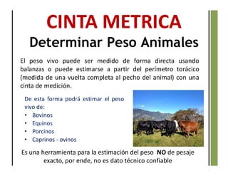 De esta forma podrá estimar el peso
vivo de:
• Bovinos
• Equinos
• Porcinos
• Caprinos - ovinos
CINTA METRICA
Determinar Peso Animales
El peso vivo puede ser medido de forma directa usando
balanzas o puede estimarse a partir del perímetro torácico
(medida de una vuelta completa al pecho del animal) con una
cinta de medición.
Es una herramienta para la estimación del peso NO de pesaje
exacto, por ende, no es dato técnico confiable
 