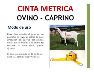 Peso: Para calcular el peso de los
animales en vivo, se coloca la cinta
alrededor del cuerpo del animal,
detrás de las manos, a la altura del
corazón, la cinta debe quedar
ajustada.
El peso aproximado se da en kilos y
en libras, para machos y hembras.
CINTA METRICA
OVINO - CAPRINO
Modo de uso
 