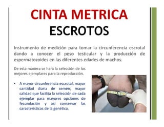 CINTA METRICA
ESCROTOS
Instrumento de medición para tomar la circunferencia escrotal
dando a conocer el peso testicular y la producción de
espermatozoides en las diferentes edades de machos.
De esta manera se hará la selección de los
mejores ejemplares para la reproducción.
• A mayor circunferencia escrotal, mayor
cantidad diaria de semen; mayor
calidad que facilita la selección de cada
ejemplar para mayores opciones de
fecundación y así conservar las
características de la genética.
 