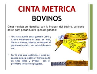 CINTA METRICA
BOVINOS
Cinta métrica se identifica con la imagen del bovino, contiene
datos para pesar cuatro tipos de ganado:
• Una cara puede pesar ganado Cebú y
Criollo obteniendo el peso en kilos,
libras y arrobas, además de obtener el
perímetro torácico del animal dado en
cm.
• Por la otra cara obtendrá el peso del
ganado doble propósito y lechero dado
en kilos libras y arrobas con el
perímetro torácico en pulgadas.
 
