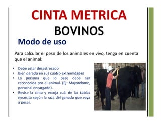 CINTA METRICA
BOVINOS
Modo de uso
• Debe estar desestresado
• Bien parado en sus cuatro extremidades
• La persona que lo pese debe ser
reconocida por el animal. (Ej: Mayordomo,
personal encargado).
• Revise la cinta y escoja cuál de las tablas
necesita según la raza del ganado que vaya
a pesar.
Para calcular el peso de los animales en vivo, tenga en cuenta
que el animal:
 