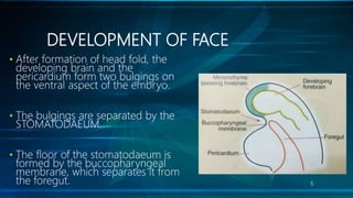 Cleft Lip and Cleft Palate | PPTX
