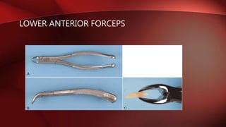 LOWER ANTERIOR FORCEPS
 