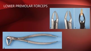 LOWER PREMOLAR FORCEPS
 