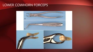 LOWER COWHORN FORCEPS
 