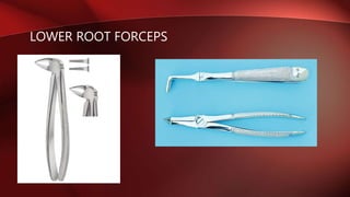 LOWER ROOT FORCEPS
 