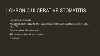 CHRONIC ULCERATIVE STOMATITIS
•Uncommon disease
•Autoantibodies (IgG) to the squamous epithelium nuclear protein (CUSP
by p73)
•Females over 40 years old
•Skin involvement is uncommon
•Erosions
 