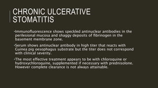 CHRONIC ULCERATIVE
STOMATITIS
•Immunoﬂuorescence shows speckled antinuclear antibodies in the
perilesional mucosa and shaggy deposits of ﬁbrinogen in the
basement membrane zone.
•Serum shows antinuclear antibody in high titer that reacts with
Guinea pig oesophagus substrate but the titer does not correspond
with clinical severity.
•The most effective treatment appears to be with chloroquine or
hydroxychloroquine, supplemented if necessary with prednisolone.
However complete clearance is not always attainable.
 