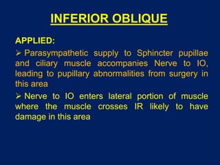 INFERIOR OBLIQUE
APPLIED:
 Parasympathetic supply to Sphincter pupillae
and ciliary muscle accompanies Nerve to IO,
leading to pupillary abnormalities from surgery in
this area
 Nerve to IO enters lateral portion of muscle
where the muscle crosses IR likely to have
damage in this area
 