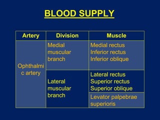 BLOOD SUPPLY
Artery Division Muscle
Ophthalmi
c artery
Medial
muscular
branch
Medial rectus
Inferior rectus
Inferior oblique
Lateral
muscular
branch
Lateral rectus
Superior rectus
Superior oblique
Levator palpebrae
superioris
 