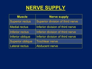 NERVE SUPPLY
Muscle Nerve supply
Superior rectus Superior division of third nerve
Medial rectus Inferior division of third nerve
Inferior rectus Inferior division of third nerve
Inferior oblique Inferior division of third nerve
Superior oblique Trochlear nerve
Lateral rectus Abducent nerve
 