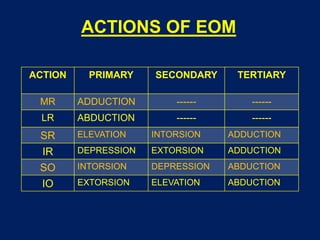 ACTIONS OF EOM
ACTION PRIMARY SECONDARY TERTIARY
MR ADDUCTION ------ ------
LR ABDUCTION ------ ------
SR ELEVATION INTORSION ADDUCTION
IR DEPRESSION EXTORSION ADDUCTION
SO INTORSION DEPRESSION ABDUCTION
IO EXTORSION ELEVATION ABDUCTION
 