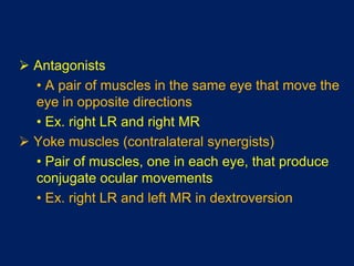  Antagonists
• A pair of muscles in the same eye that move the
eye in opposite directions
• Ex. right LR and right MR
 Yoke muscles (contralateral synergists)
• Pair of muscles, one in each eye, that produce
conjugate ocular movements
• Ex. right LR and left MR in dextroversion
 