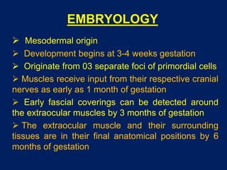 EMBRYOLOGY
 Mesodermal origin
 Development begins at 3-4 weeks gestation
 Originate from 03 separate foci of primordial cells
 Muscles receive input from their respective cranial
nerves as early as 1 month of gestation
 Early fascial coverings can be detected around
the extraocular muscles by 3 months of gestation
 The extraocular muscle and their surrounding
tissues are in their final anatomical positions by 6
months of gestation
 