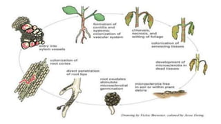 6. writing a research report