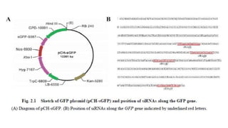 6. writing a research report