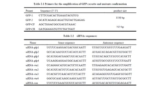 6. writing a research report