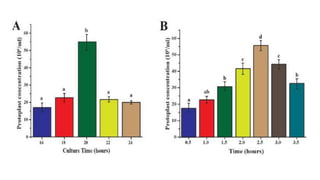 6. writing a research report